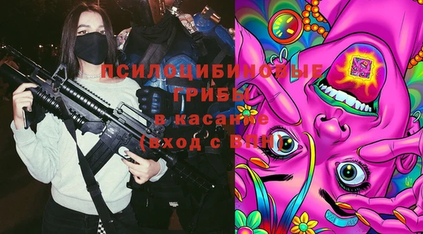 mix Бородино
