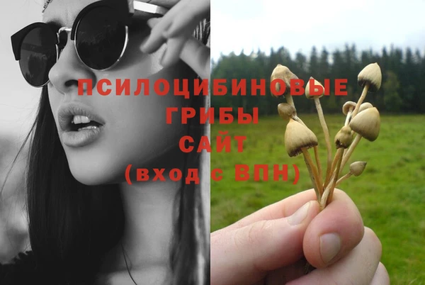 спиды Бугульма