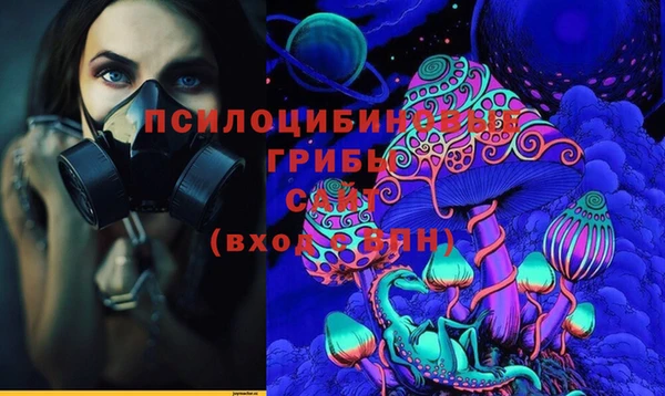 гидропоника Бронницы