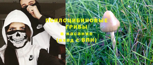 спиды Бугульма