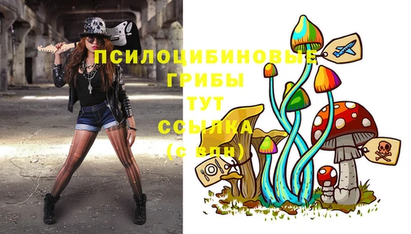 mix Бородино