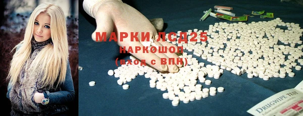 mix Бородино