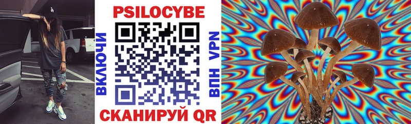 Псилоцибиновые грибы Psilocybe  Волгодонск 