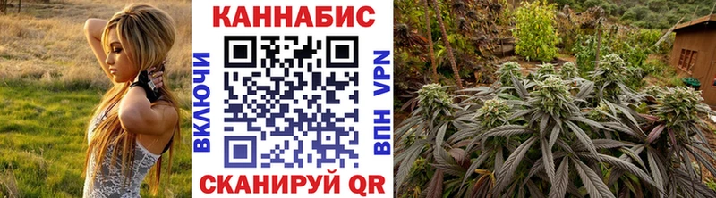 магазин продажи   Волгодонск  Марихуана SATIVA & INDICA 